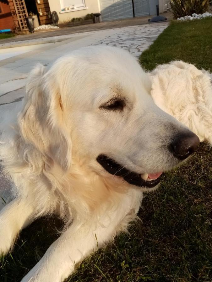 La Girouardiere La Flèche Dış mekan fotoğraf
